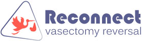 Reconnect Vasectomy Reversal